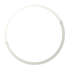 思考力，判断力，表現力の育成