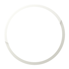 問題解決能力の育成