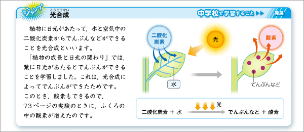 内容解説：中学校との接続2