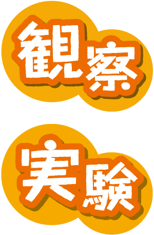 観察／実験