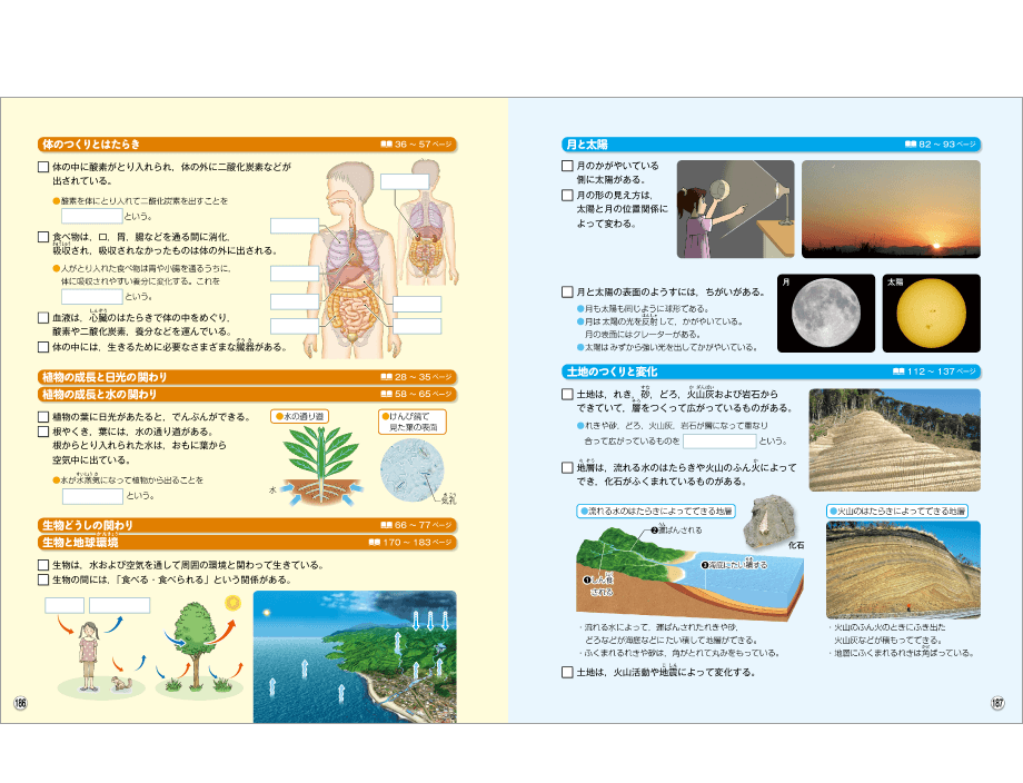 内容解説：学習をふりかえる2