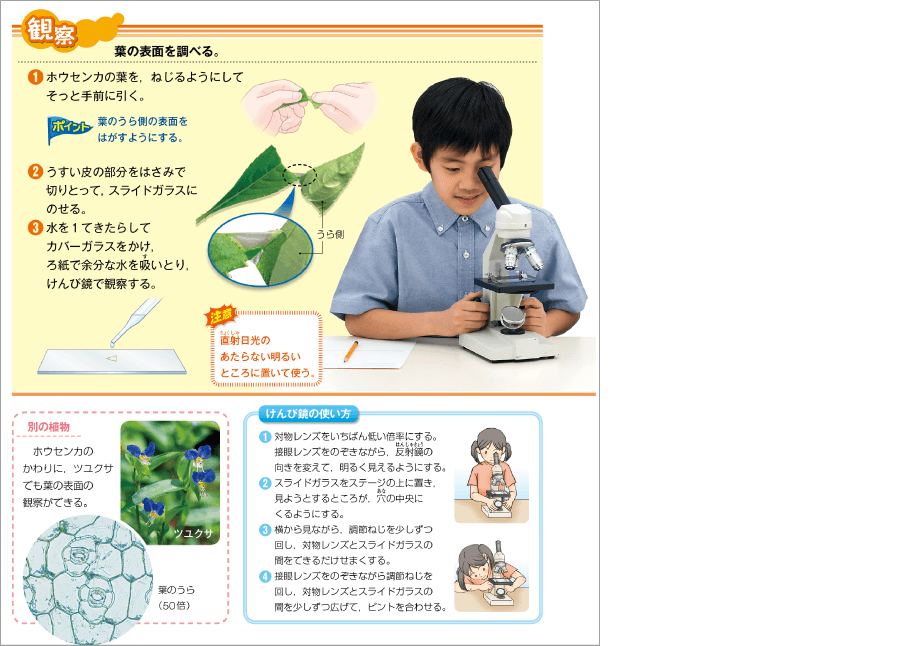 内容解説：上位学年でふりかえる