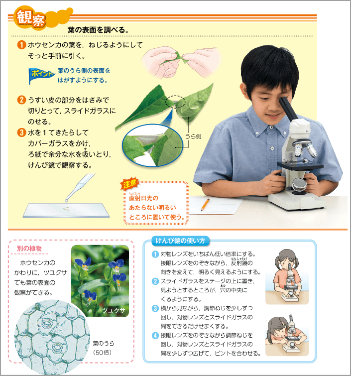 内容解説：上位学年でふりかえる