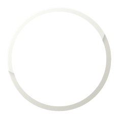 数学的な思考力，判断力，表現力の育成