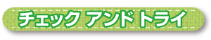 チェック アンド トライ