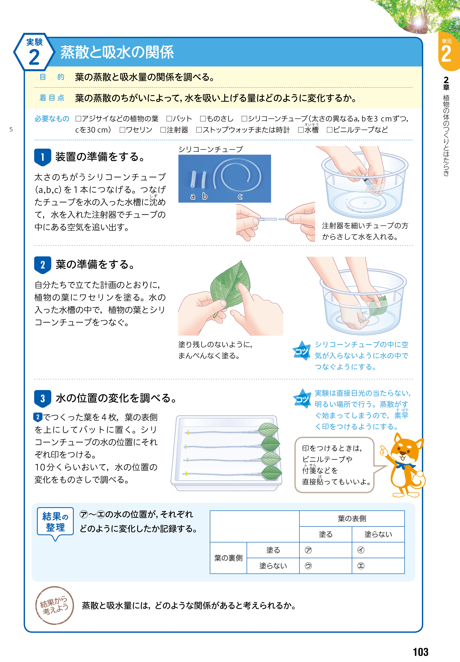 理科の世界２年p.103「蒸散と吸水の関係」