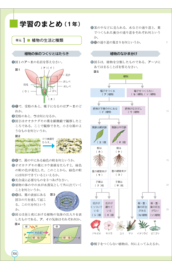 3年p.306