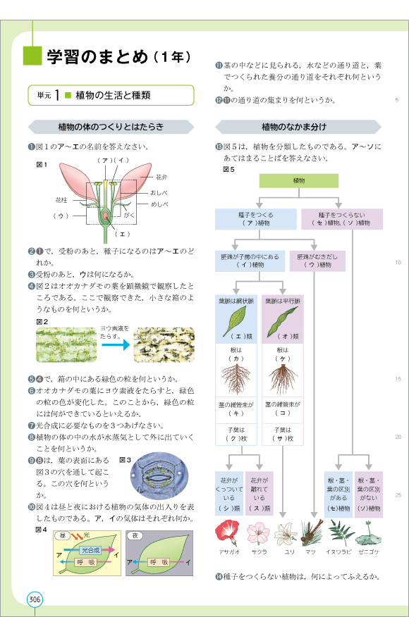 ３年p.306