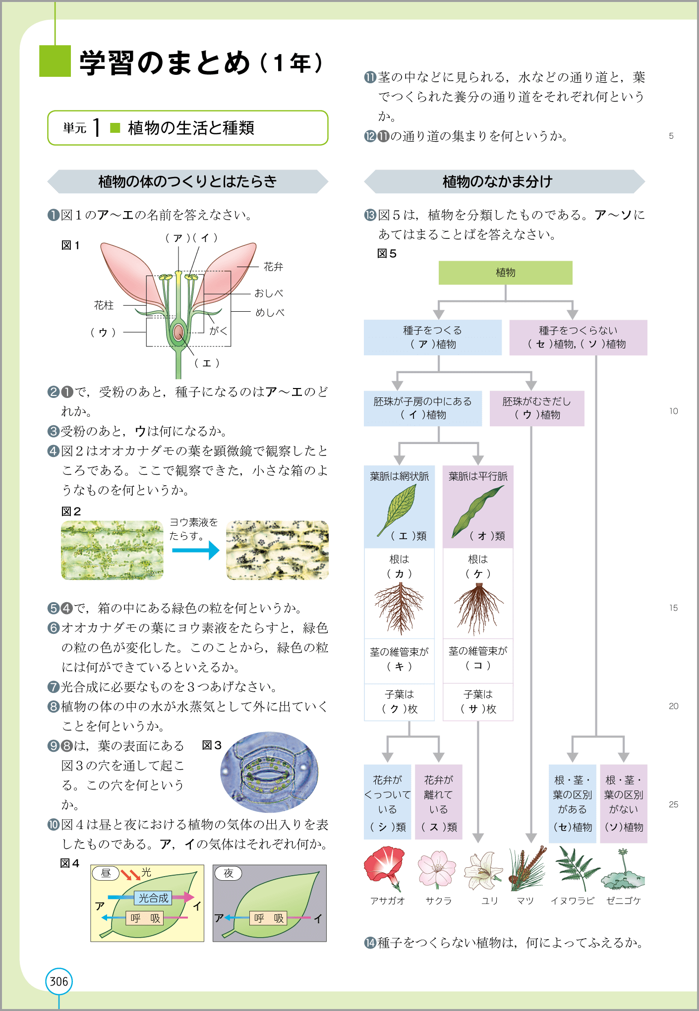 3年p.306