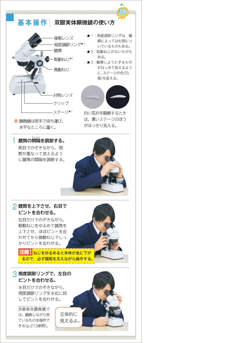 1年p.19