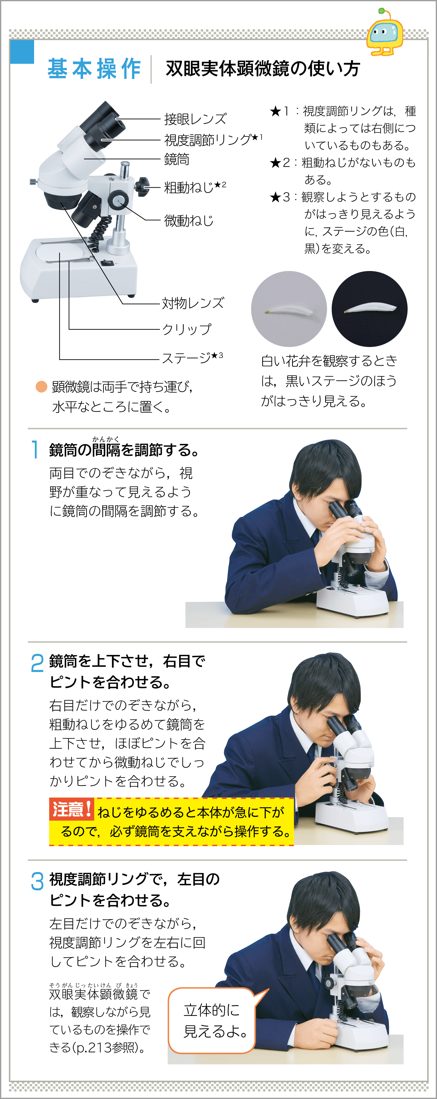 1年p.19