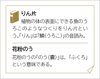 1年p.31
