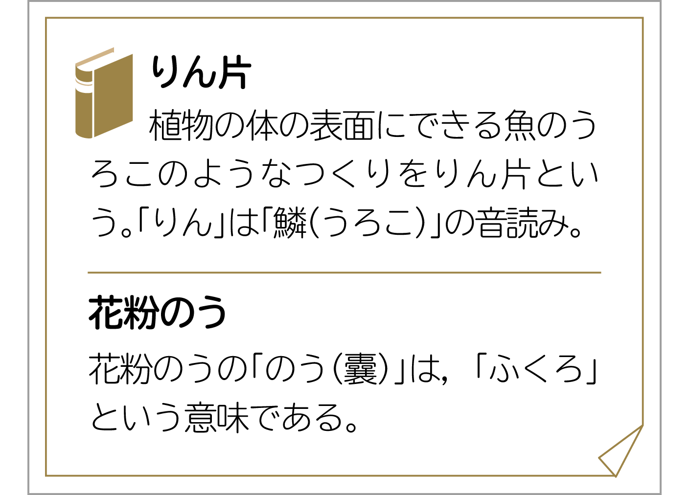 1年p.31