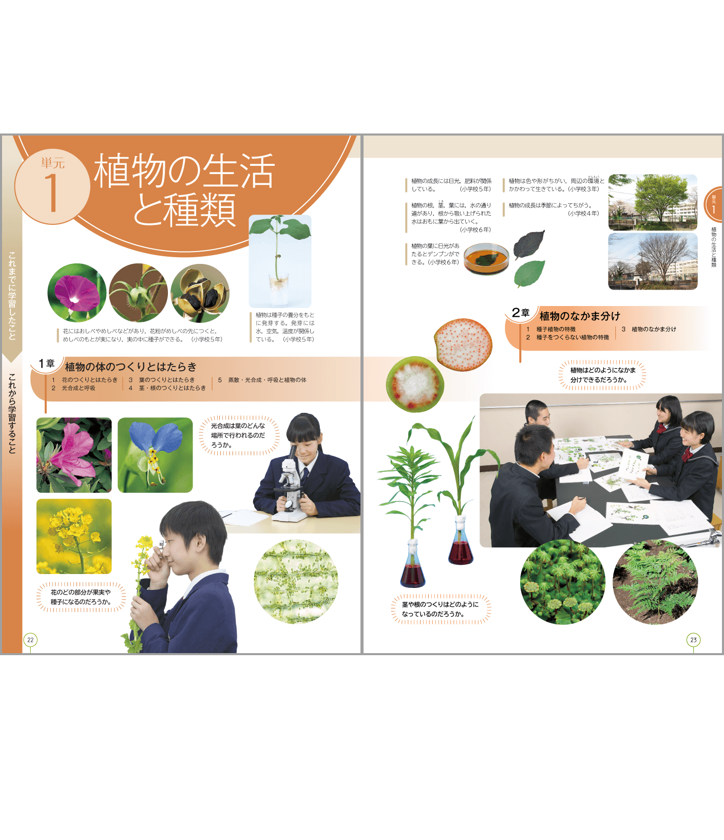 1年p.22〜p.23