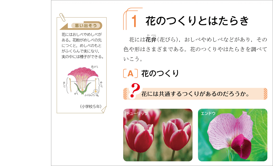 1年p.24