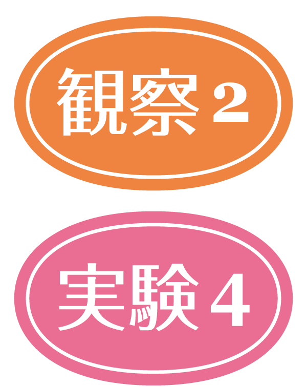観察・実験