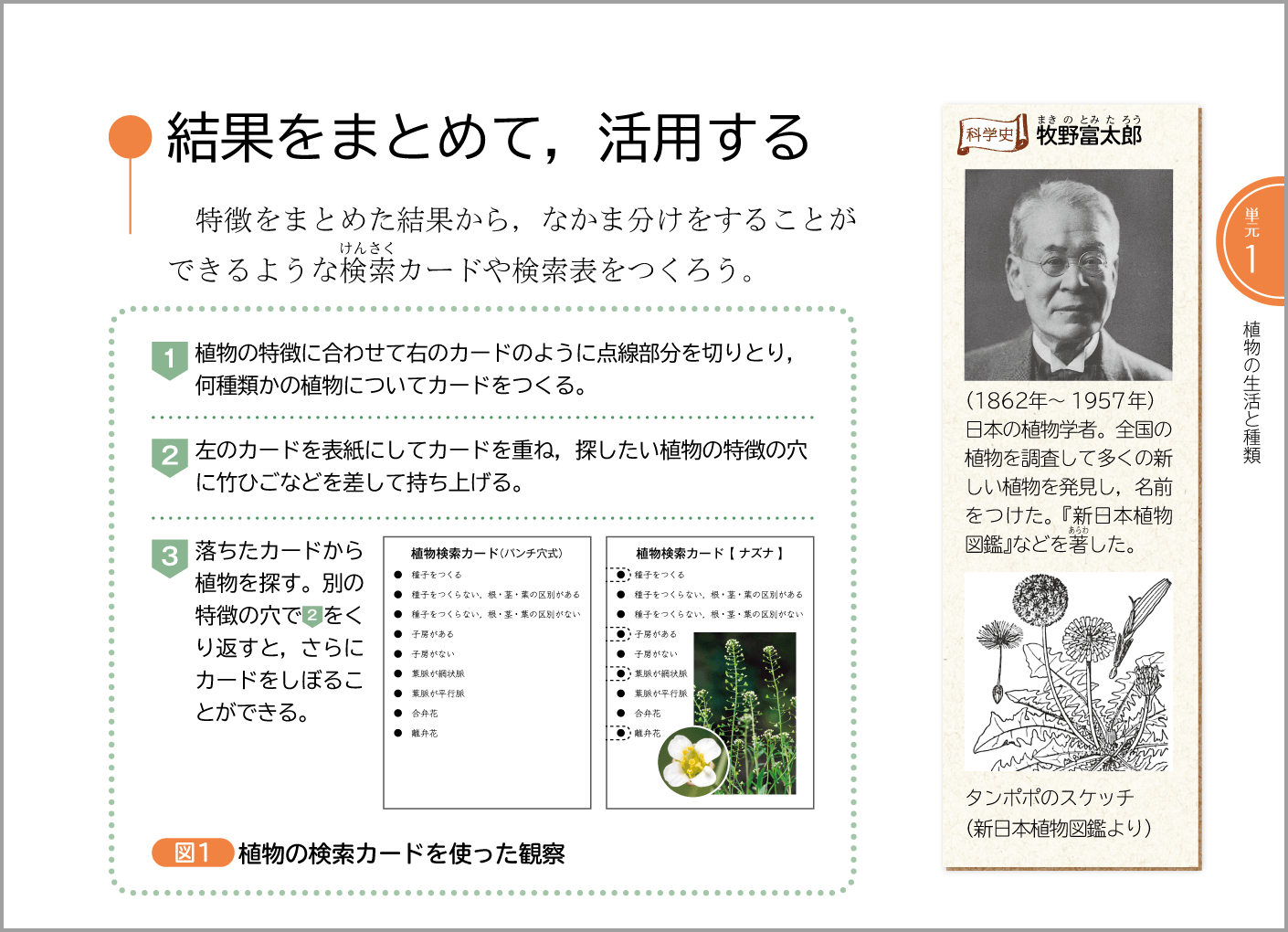 １年p.59