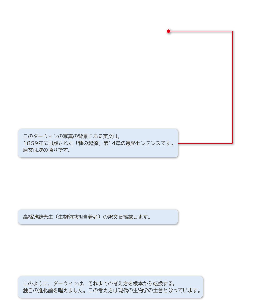 ２年p.表紙裏｜解説