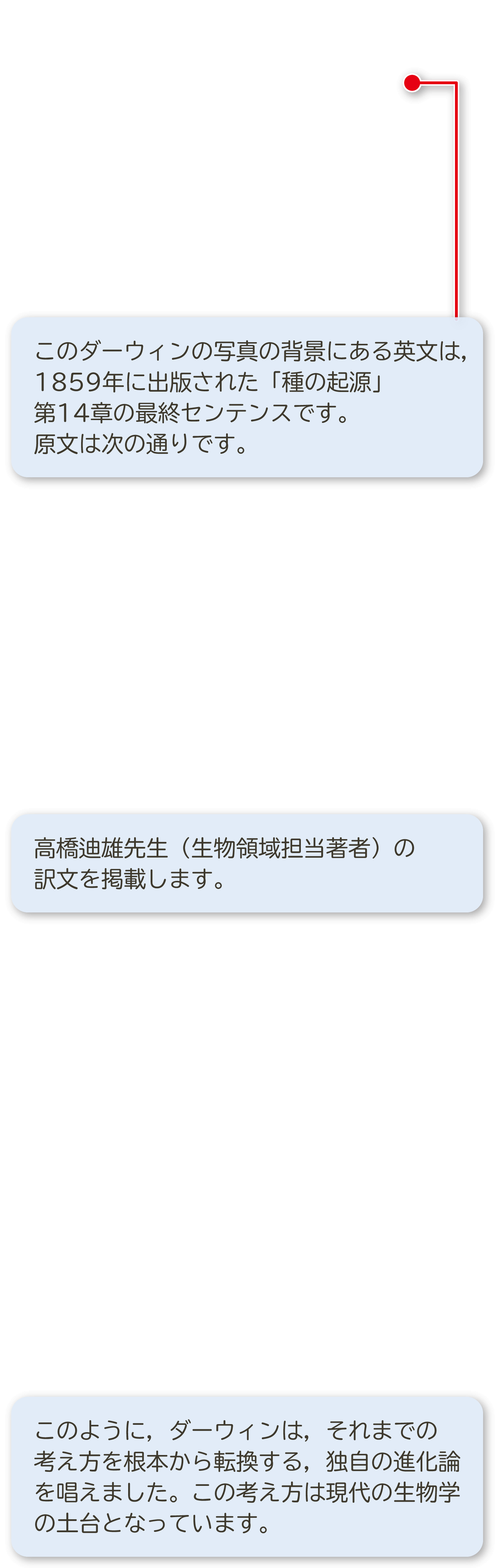 ２年p.表紙裏｜解説