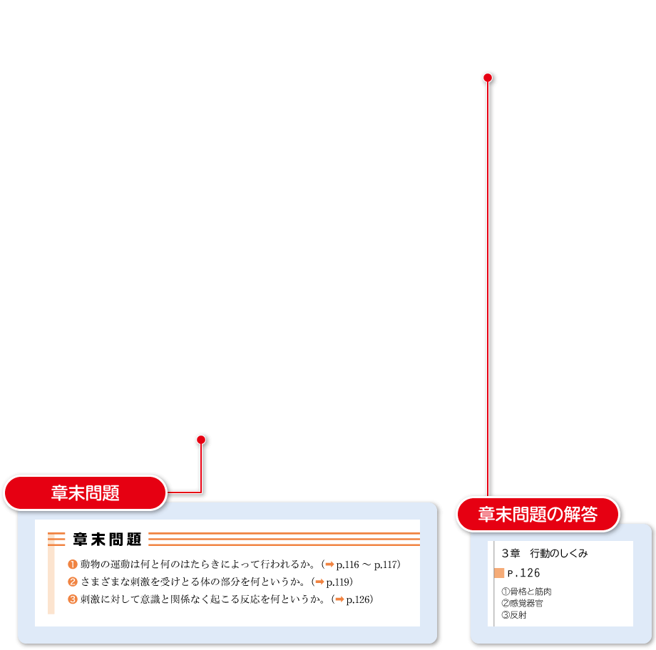 ２年p.126,p.295｜解説