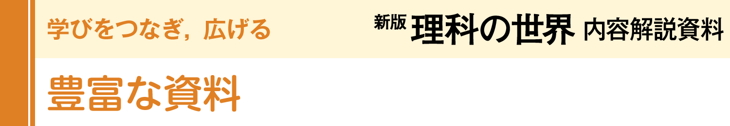 豊富な資料