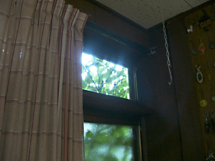 窓の木漏れ日