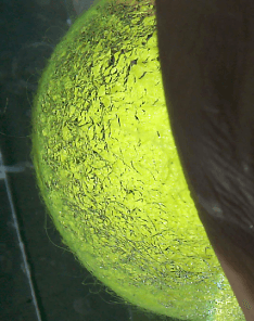 テニスボールの表面の拡大