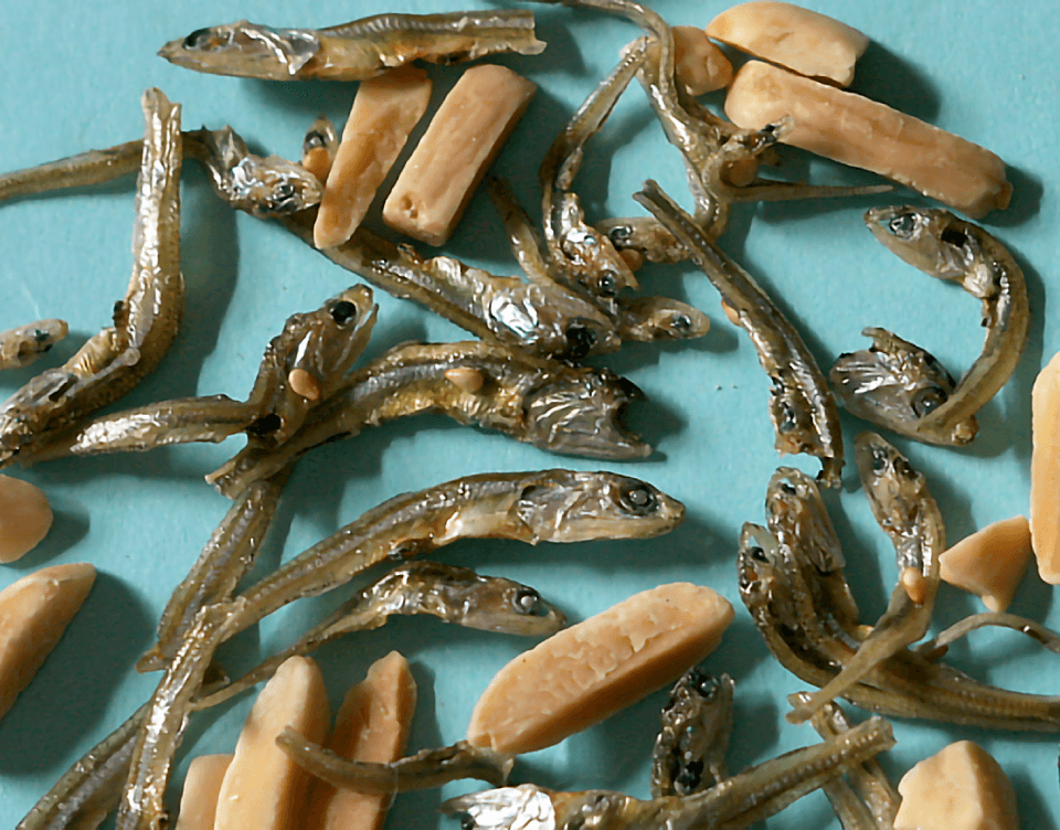 小魚(煮干し)