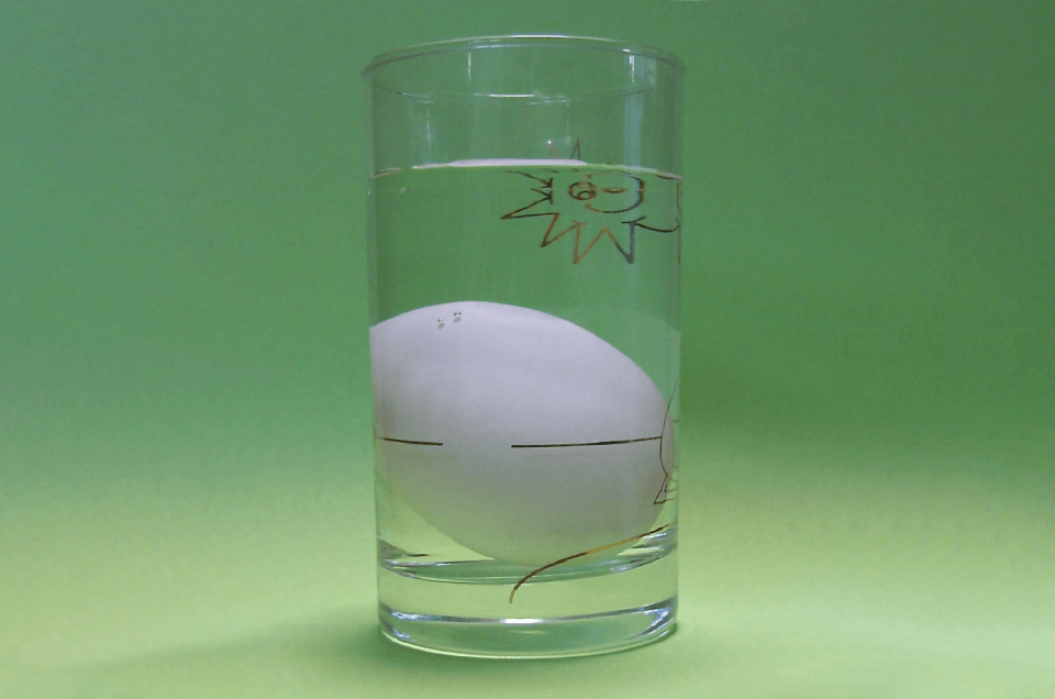 水に沈んだ卵