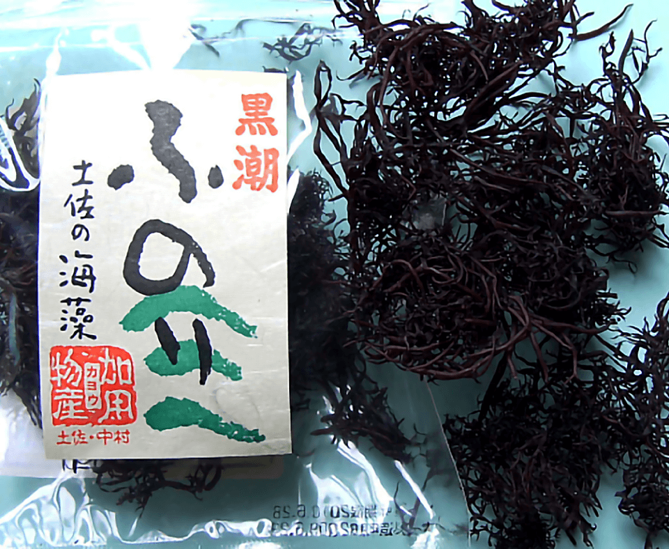 ふのりから粘着液をとりだす