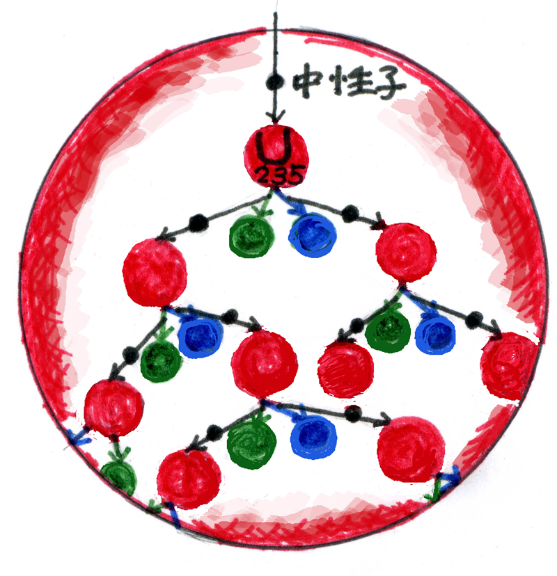 核分裂