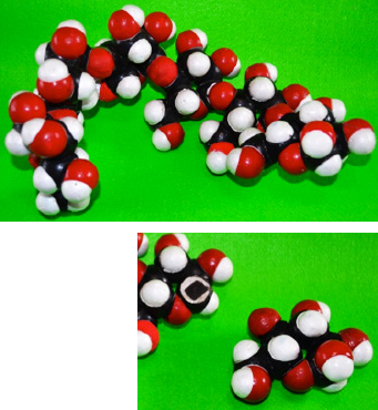 でんぷんの分子模型