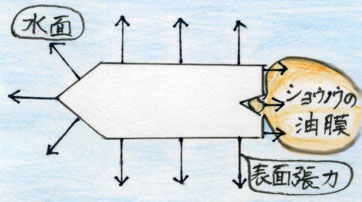 ショウノウ船の推進力の図解