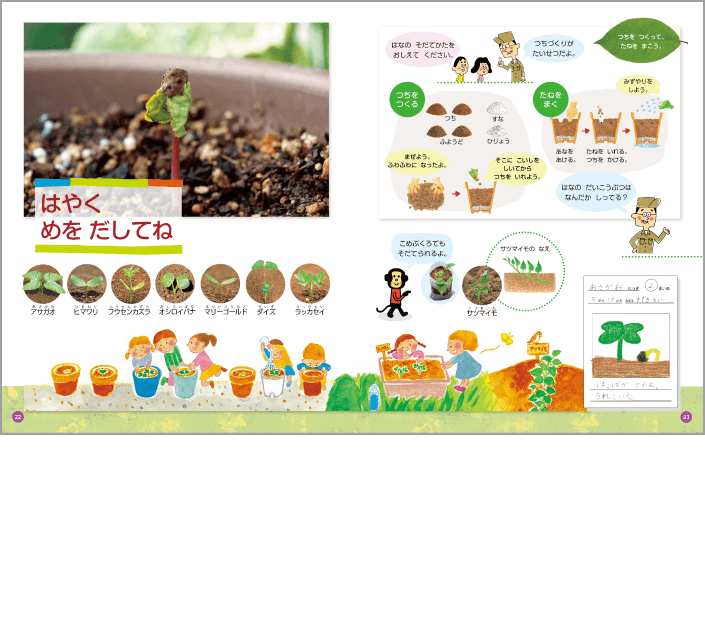 内容解説：長期にわたる栽培活動