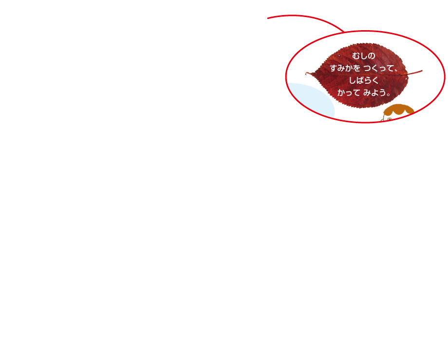 内容解説:ここで何をすればよいのか3
