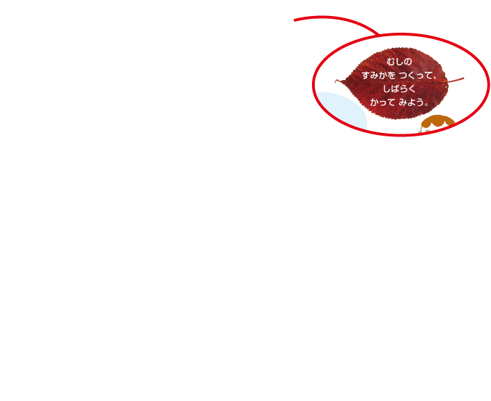 内容解説:ここで何をすればよいのか3