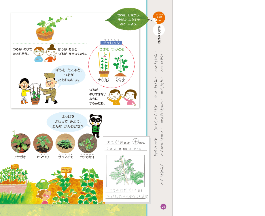 内容解説:「せいかつことば」