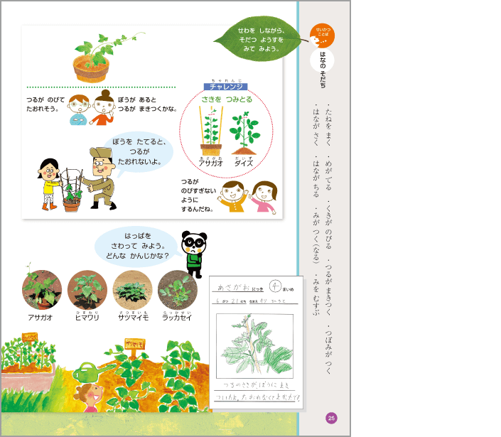 内容解説:「せいかつことば」