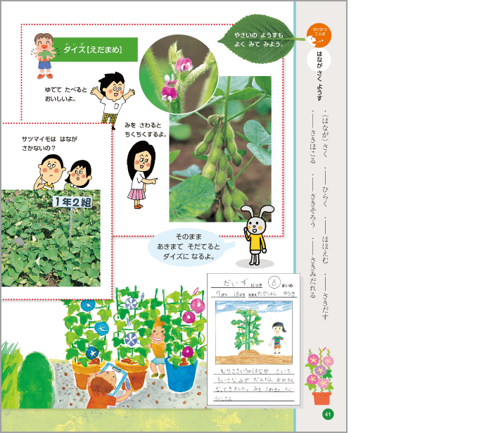内容解説:「せいかつことば」
