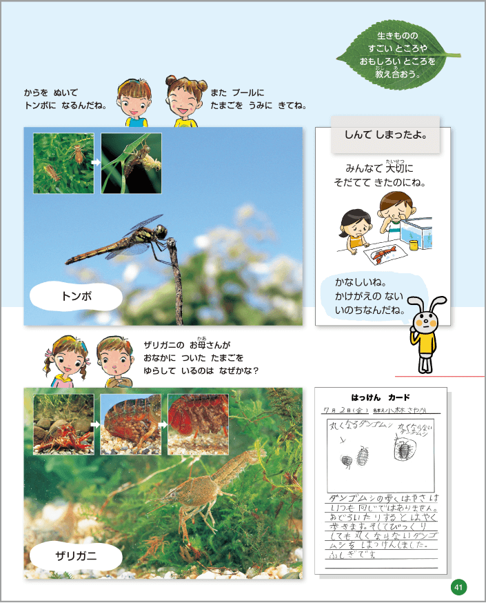 内容解説:継続的な栽培活動や飼育活動