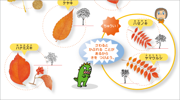 内容解説:カラーユニバーサルデザイン2