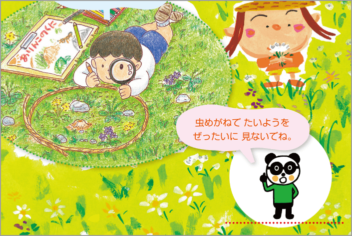 内容解説:カラーユニバーサルデザイン3