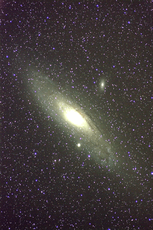 M31