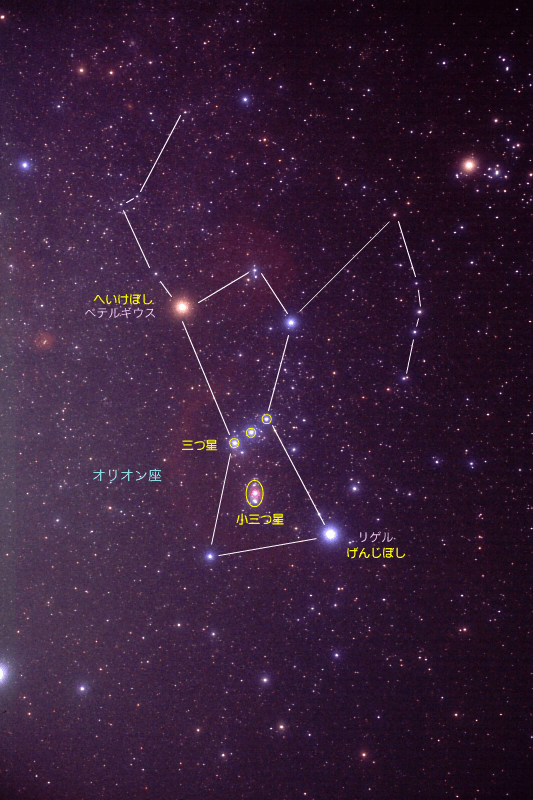 までの】 三つ星様 490Sq-m44187344120 セット