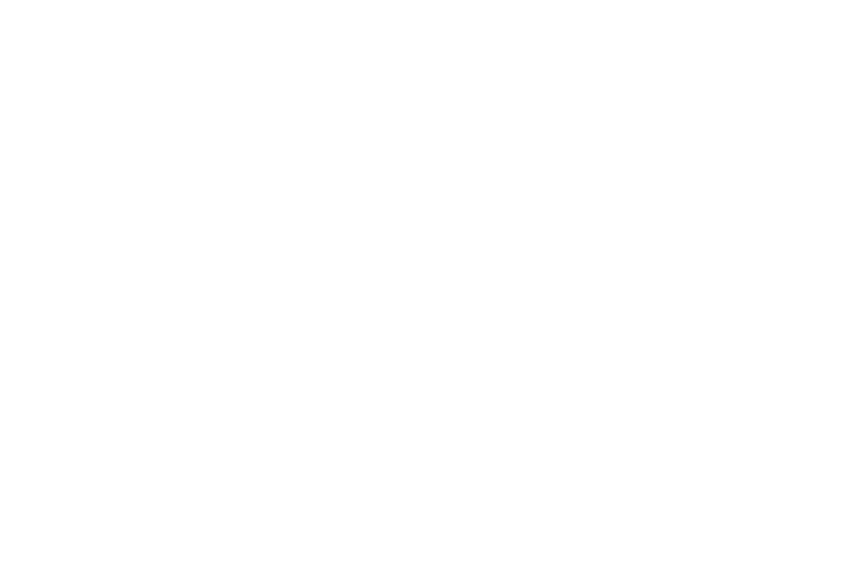 しし座 星座線