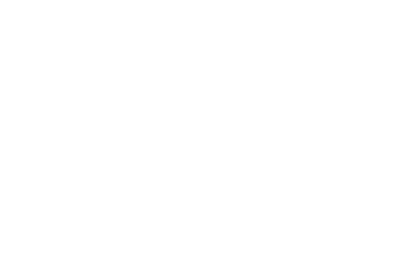 ペガスス座 星座線