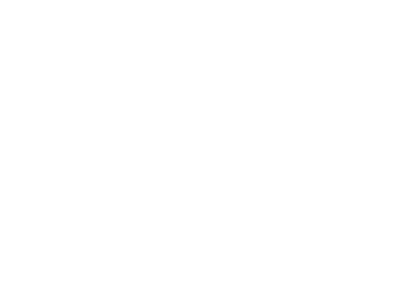 おおぐま座 星座線