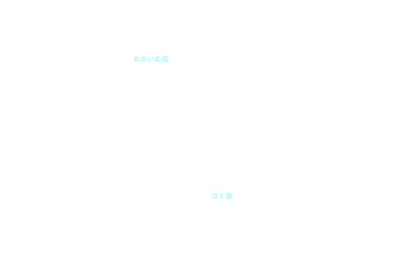 はと座 星座名