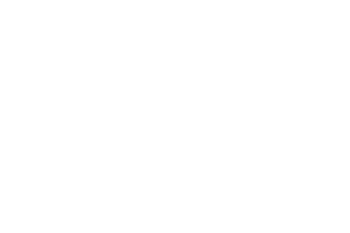 おとめ座 星座線