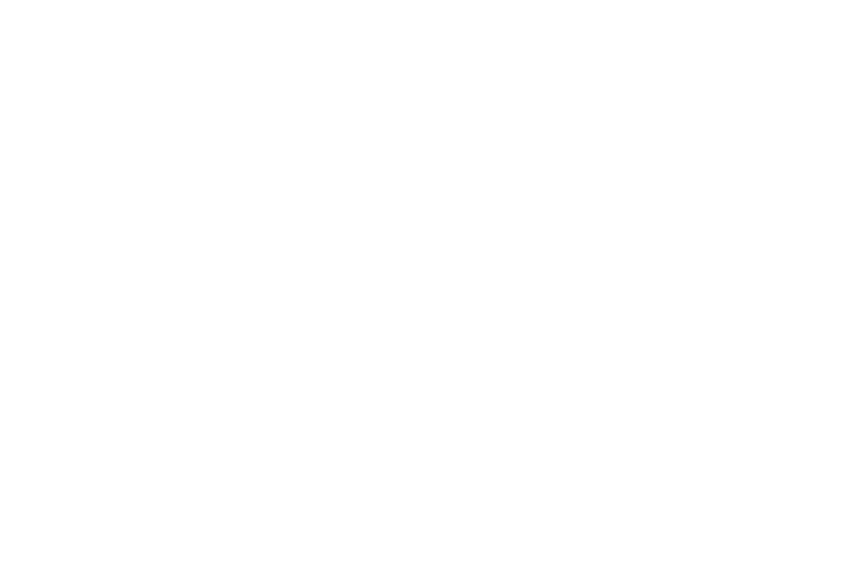 おうし座 星座線